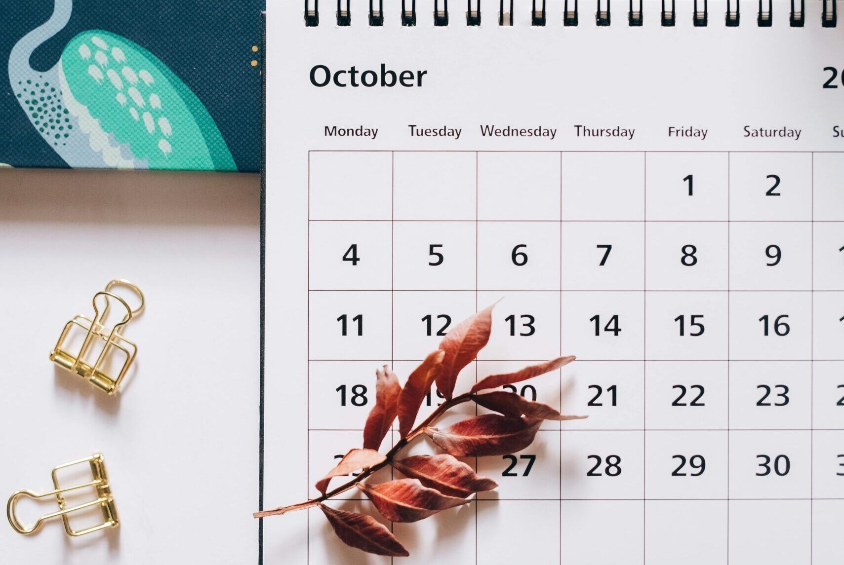 calendario, time sharing